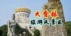 鸡巴艹屄网站中国浙江-绍兴大香林旅游风景区